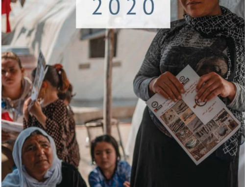 Landmine Monitor 2020